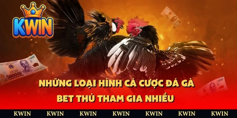 Những loại hình cá cược đá gà bet thủ tham gia nhiều  